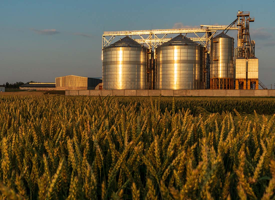 Crop Insurance - View of Grain Silos on a Farm with Fields of Wheat Growing in Front at Sunset