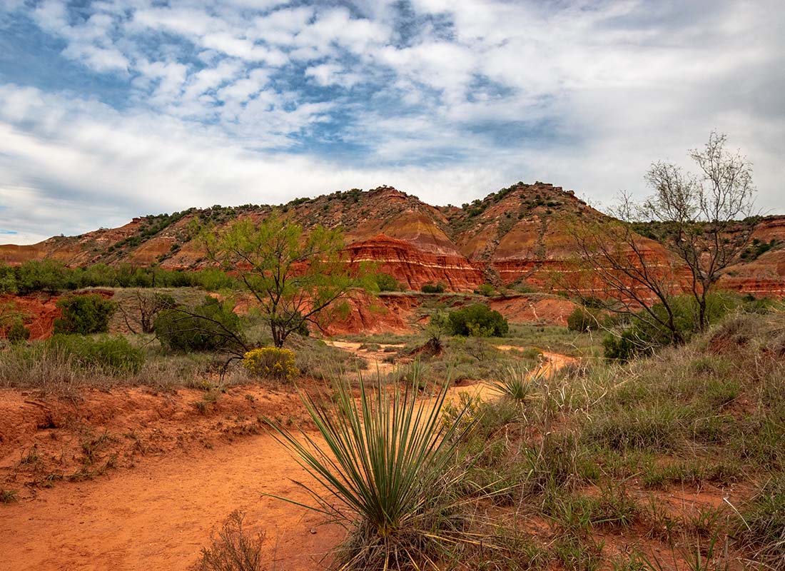 We Are Independent - View of Rocky Formations and Small Shrubs Against a Cloudy Blue Sky in the Palo Duro Grand Canyon State Park